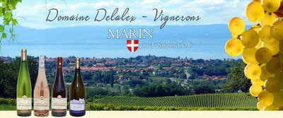 Domaine Delalex