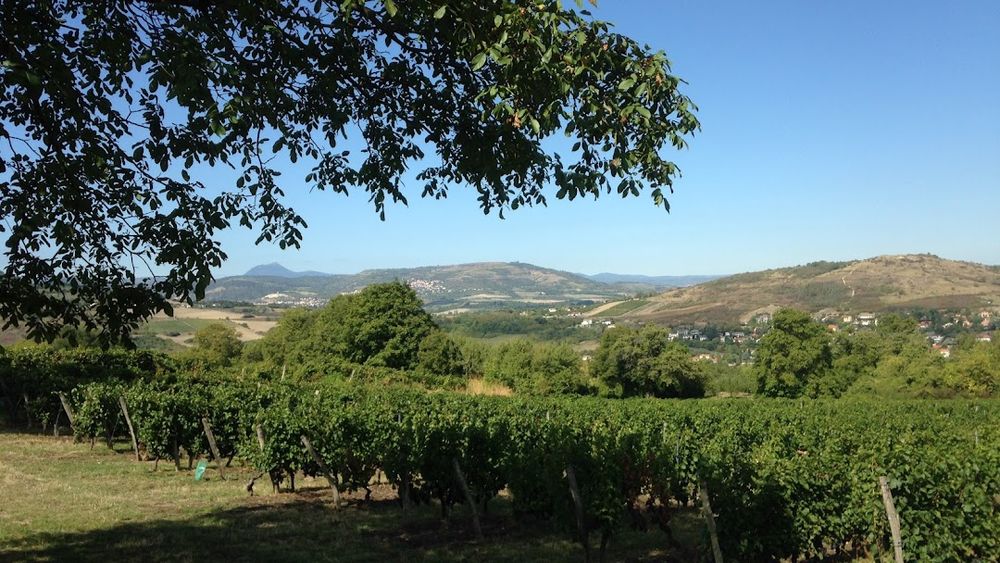 Domaine des Trouillères
