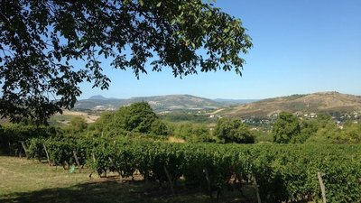 Domaine des Trouillères