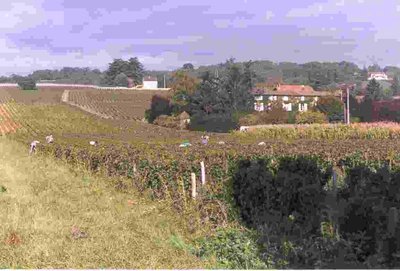 Domaine de la Logère