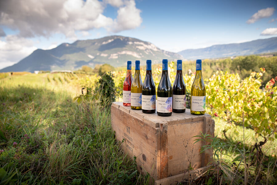 Gamme de vins du Bugey