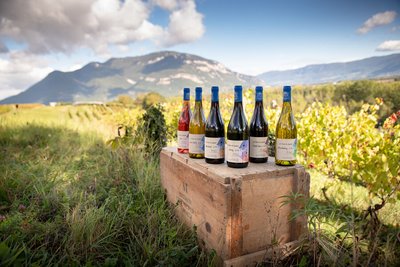 Gamme de vins du Bugey