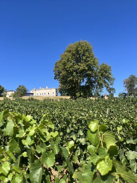 Château