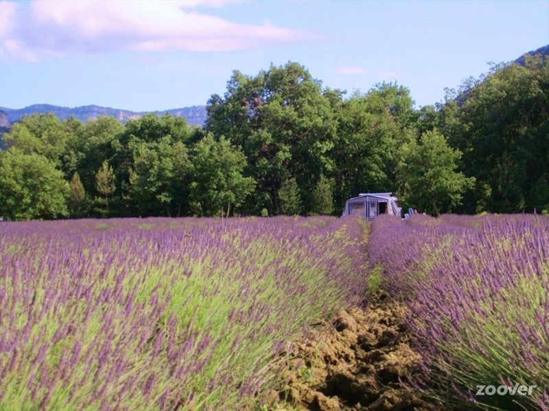 Aire Naturelle Les Lavandes