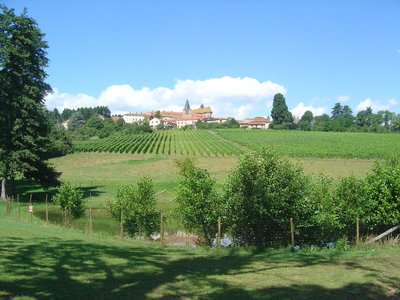 Domaine des Palais