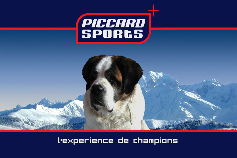 Logo Piccard Sports