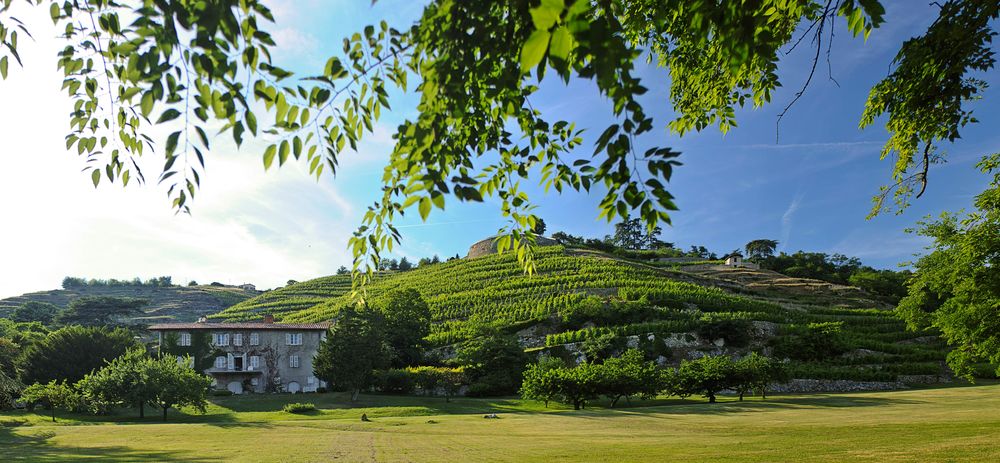Domaine Georges Vernay