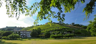 Domaine Georges Vernay