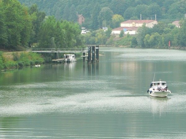 Hatle fluviale de Rochetaillée