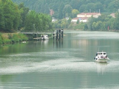 Hatle fluviale de Rochetaillée