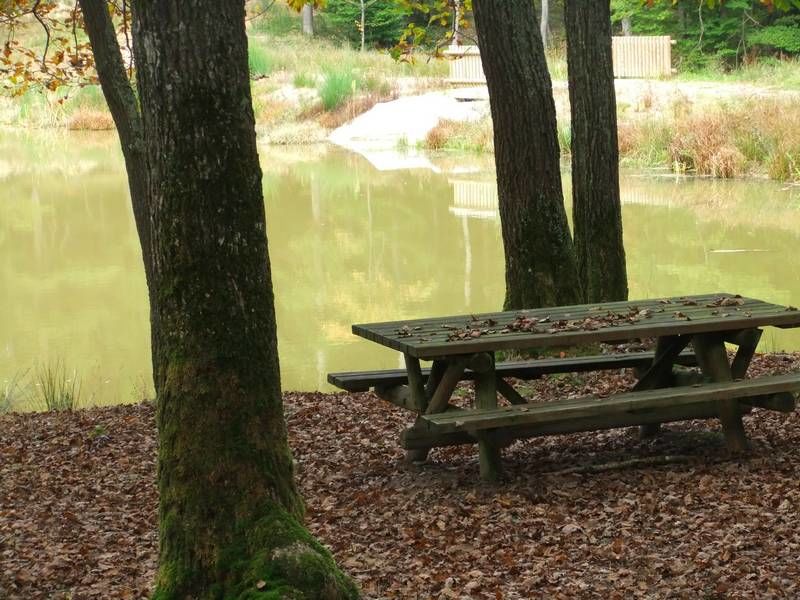 Aire de pique-nique des étang de la Forêt de Lespinasse