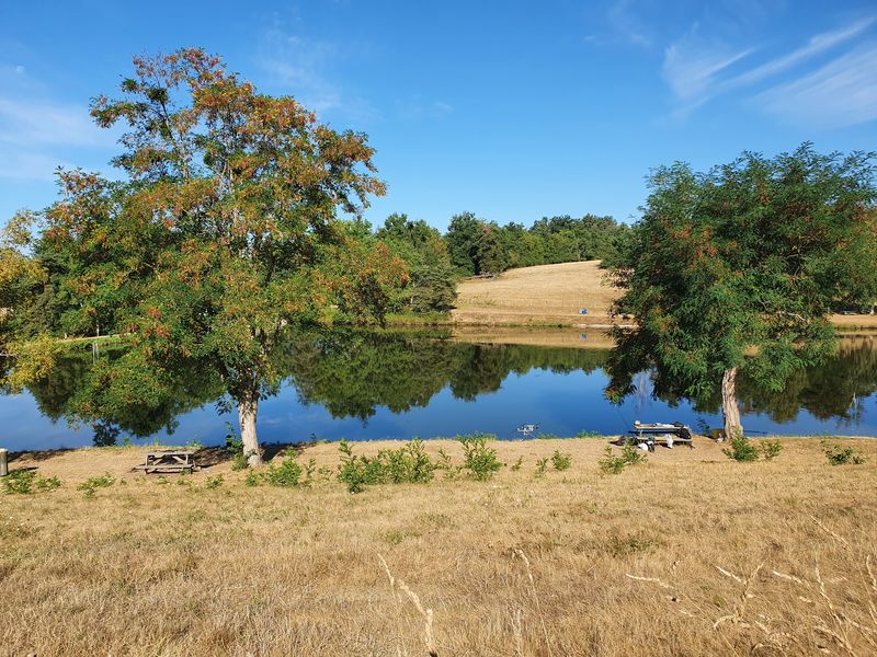 Etang de la tuilerie