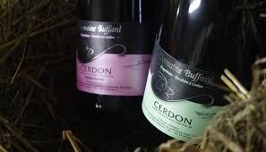 Bouteille Cerdon Buffard