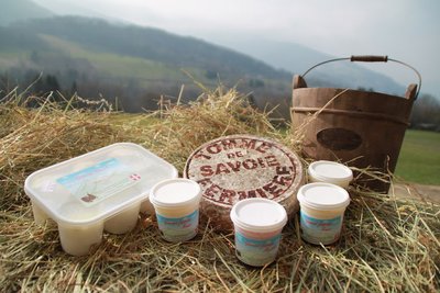 Faisselles, yaourts et tomme fermière.