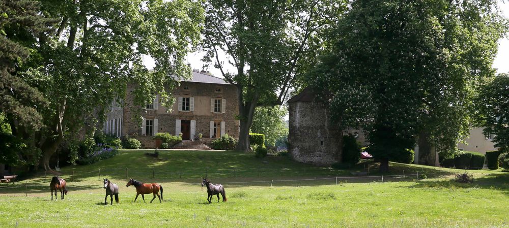 PARC ET ANIMAUX
