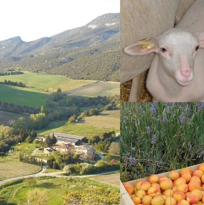 Ferme de Célas