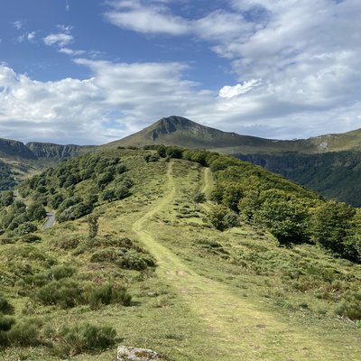 forêt, lande, estive