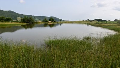 L'étang de Lascourt