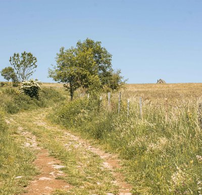 le sentier de la transhumance