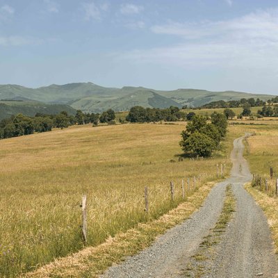 vue sur les Monts du Cantal