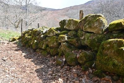 Muret en pierre sèche