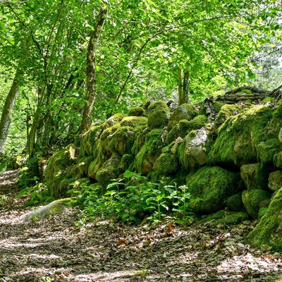 Un muret en pierres sèches, recouvert de mousse