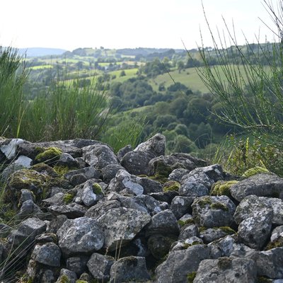 Un muret en pierres sèches