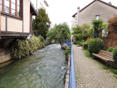 Le long de la Divonne
