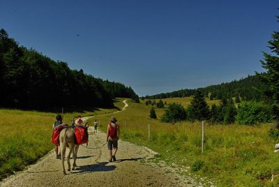 Prairie de Bournette