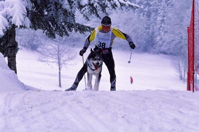 Ski joering au stade Raphaël Poirée
