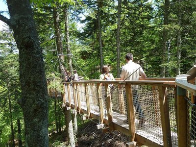 Parcours de l'odyssée verte