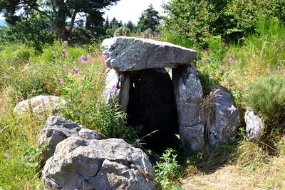 Le dolmen d'Echamps