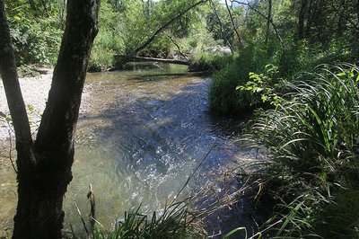La rivière Eau Morte