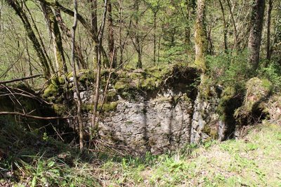 Ruines du moulin Pachoud