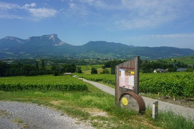Une année de vigneron