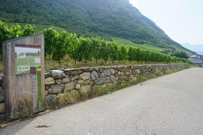 L'entretien