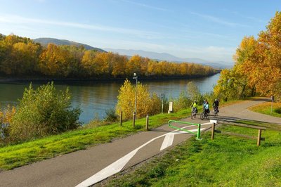 Bord du Rhône à vélo près d'Andancette