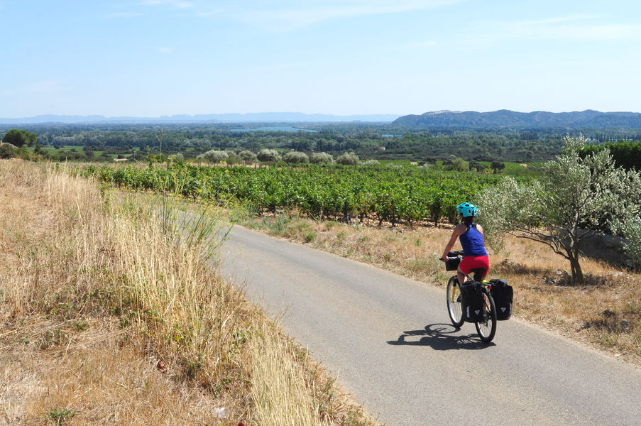 ViaRhôna à travers le vignoble de Châteauneuf-du-Pape