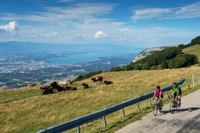 Genève depuis les alpages du Salève