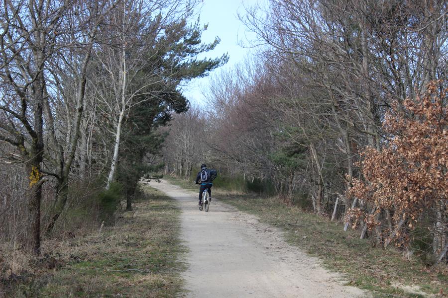 L'Aventure du rail_Saint-Marcellin-en-Forez