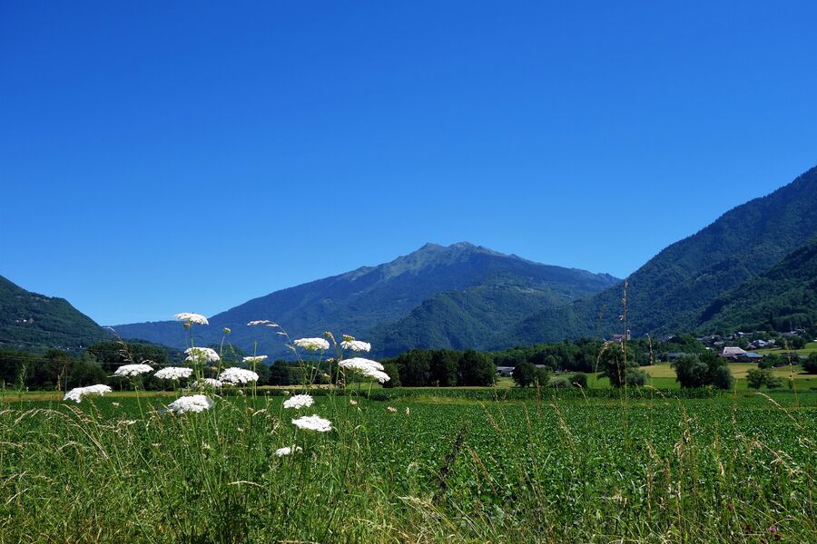 En cheminant dans la vallée