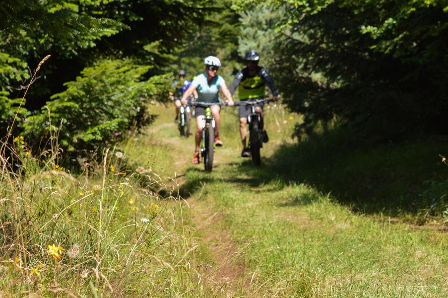 VTT dans la Pinatelle