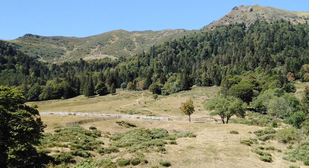 VTT Font d'Alagnon
