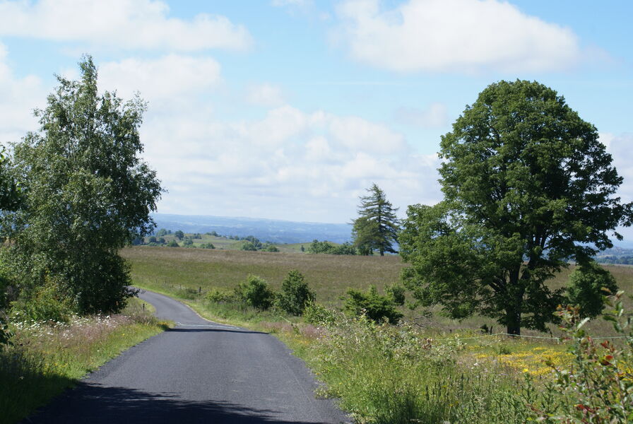 Sur le Plateau de Vigouroux