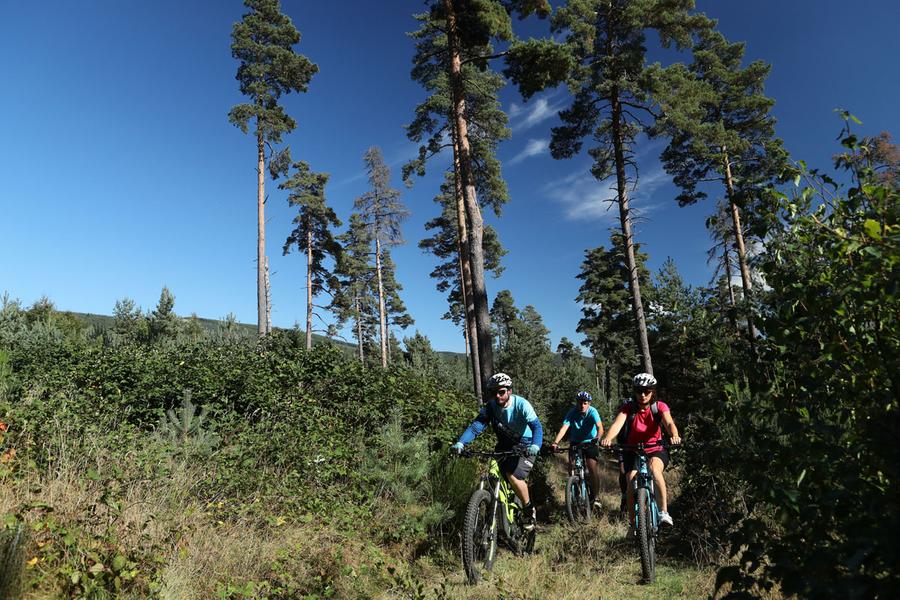 bois du pirou en VTT st flour cantal