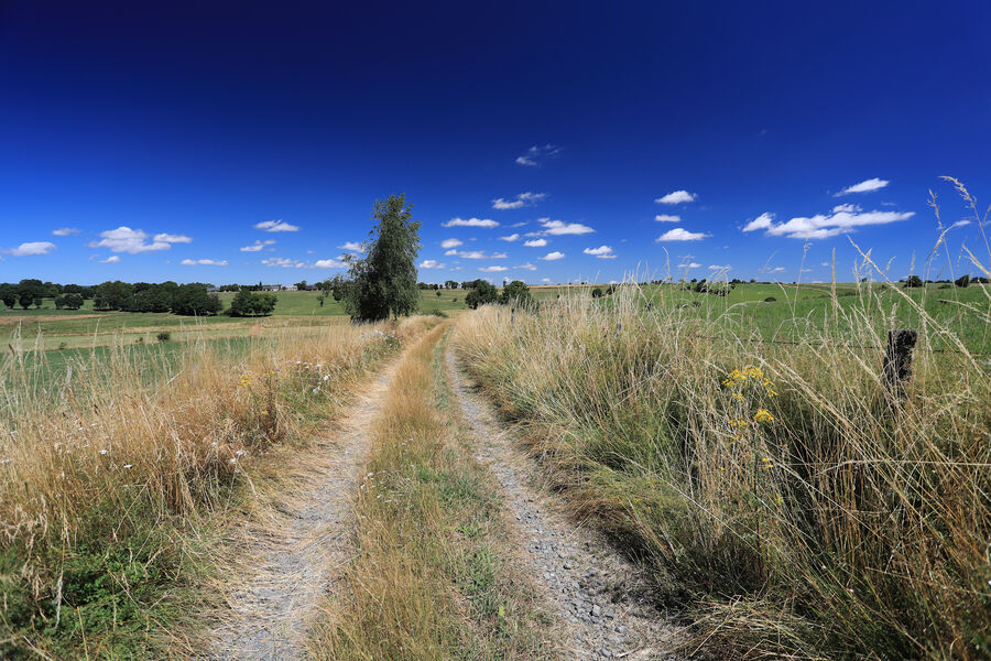 Planèze de Saint-Flour, Cantal, Auvergne