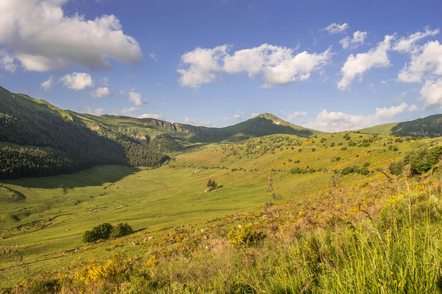 Puy Mary