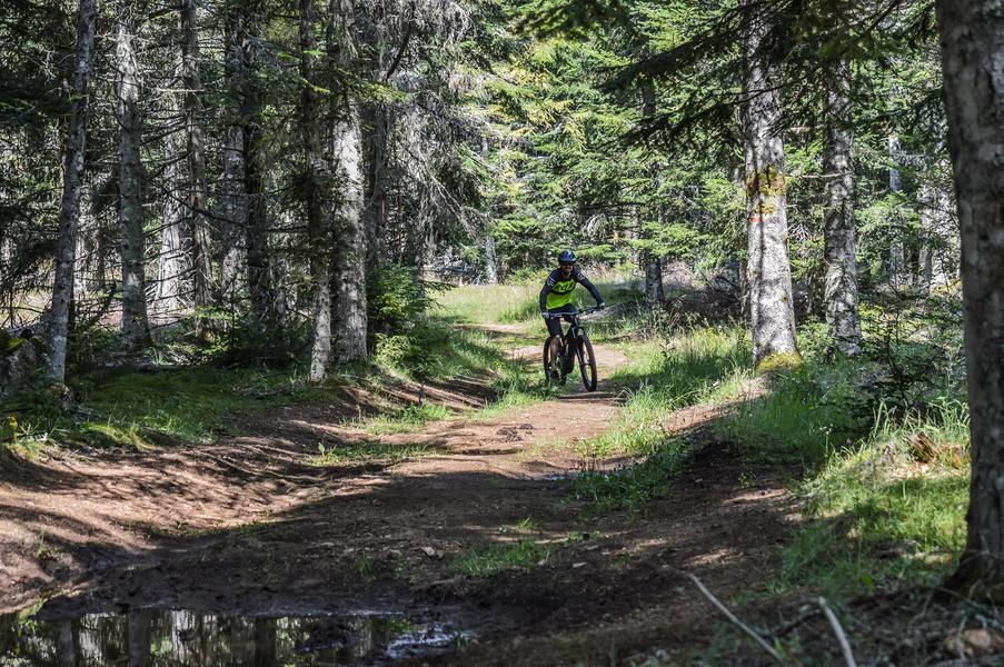 VTT dans la Pinatelle - Autour du Lac du Pêche