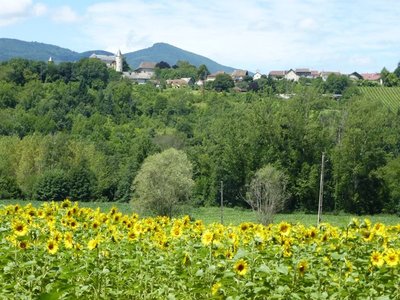 Château d'Andert