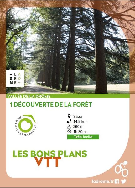 BP VTT découverte de la forêt